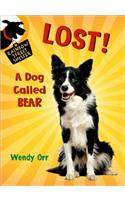 Lost! a Dog Called Bear