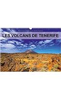 Volcans de Tenerife 2017