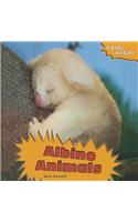 Albino Animals