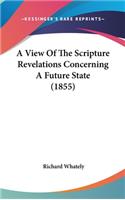 A View Of The Scripture Revelations Concerning A Future State (1855)