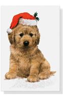 Festive Pup Small Boxed Holiday Cards