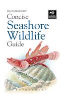 Concise Seashore Wildlife Guide: (Concise Guides)