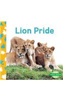 Lion Pride