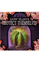 How Plants Protect Themselves