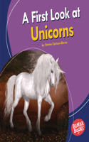 A First Look at Unicorns: (Bumba Books — Fantastic Creatures)