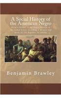 A Social History of the American Negro
