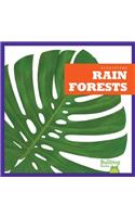 Rain Forests