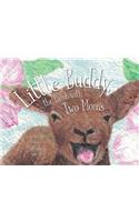 Little Buddy, the Lamb with Two Moms