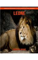 Leone