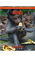 Mono