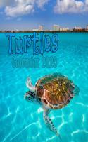 Turtles Calendar 2020