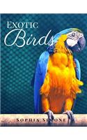 Exotic Birds: A Beautiful Nature Picture Book Photography Coffee Table Photobook Animal Guide Book with Photos Images, Names of Cute Birds.