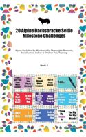 20 Alpine Dachsbracke Selfie Milestone Challenges: Alpine Dachsbracke Milestones for Memorable Moments, Socialization, Indoor & Outdoor Fun, Training Book 2