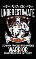 Sensory Processing Disorder Notebook