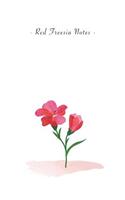 Red Freesia Notes