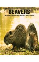 Beavers: Incredible Pictures and Fun Facts about Beavers