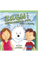 Zach the Appalachian Yeti Gets a Family