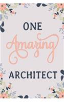 One Amazing Architect