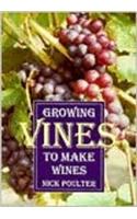 Growing Vines to Make Wines