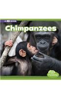 Chimpanzees: A 4D Book: (Mammals In the Wild)