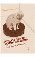 Social Practices and Dynamic Non-Humans: Nature, Materials and Technologies