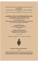 Markhaltige Faserverbindungen Im Hirnstamm Der Katze