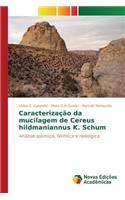 Caracterização da mucilagem de Cereus hildmaniannus K. Schum