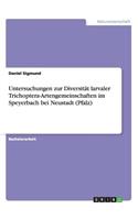 Untersuchungen zur Diversität larvaler Trichoptera-Artengemeinschaften im Speyerbach bei Neustadt (Pfalz)