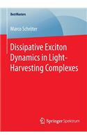 Dissipative Exciton Dynamics in Light-Harvesting Complexes