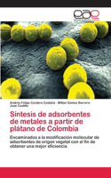 Síntesis de adsorbentes de metales a partir de plátano de Colombia