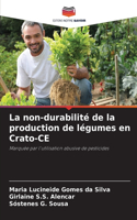 La non-durabilité de la production de légumes en Crato-CE