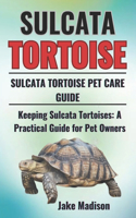 Sulcata Tortoise
