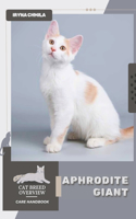Aphrodite Giant: Cat breed overview, care handbook