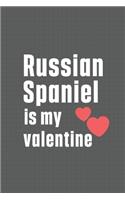 Russian Spaniel is my valentine: For Russian Lapdog Fans