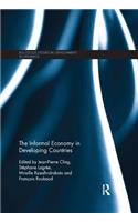 The Informal Economy in Developing Countries