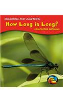 How Long Is Long?