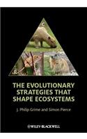 Evolutionary Strategies That Shape Ecosystems