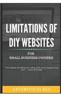 Limitations of DIY Websites