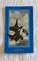 Reading 2000 Phonics Reader 1.21 Whales