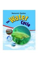 Nature's Cycles: The Water Cycle
