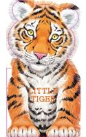 Little Tiger