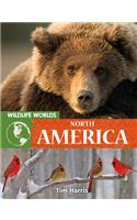 Wildlife Worlds North America