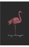 Flamingo With Skateboard