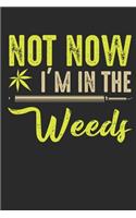 Not Now I´m In The Weeds