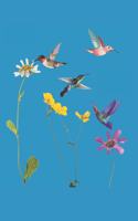 Hummingbird and Flower Journal