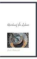 Kreislauf Des Lebens