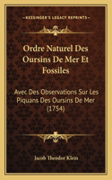 Ordre Naturel Des Oursins De Mer Et Fossiles