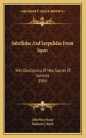 Sabellidae And Serpulidae From Japan