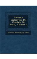 Colecci N Diplom Tica del Condado de Besal, Volume 2