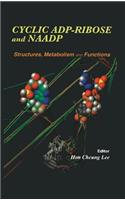 Cyclic Adp-Ribose and Naadp: Structures, Metabolism and Functions